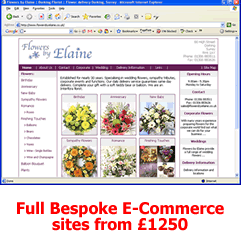 Full E-Commerce Sites from 1250 - click to visit this website example