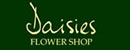 Daisies Flower Shop