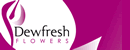 Dewfresh Flowers