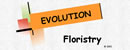 Evolution Floristry