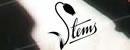 Stems Floral Design